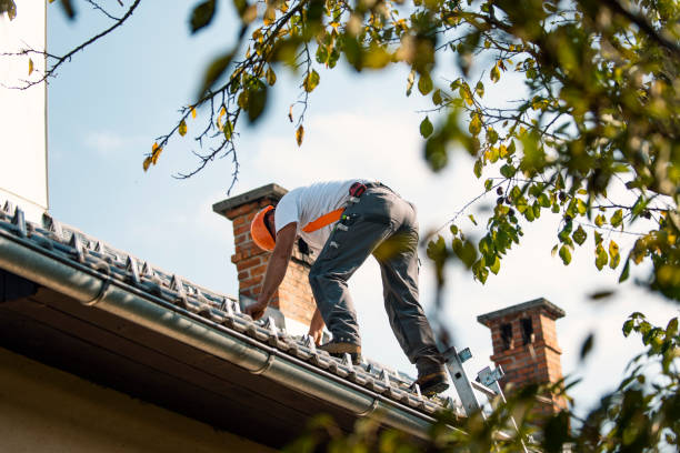 Best Roof Maintenance Services  in Northwoods, MO